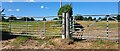 Gates into fields, west of Almington in TF9 2PW