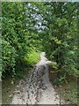 Path in Upton Country Park in WF9 1EL