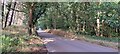 Lane through Foxburrow Woods towards Waldringfield Heath in IP5 4AA