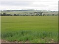 Field south of Woodside in DD4 0PW