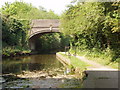 Grand Union bridge 195, old Stockley Road in UB7 9LW