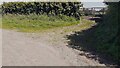 Field gateway on east side of bend in road north of Plumbland in Plumbland