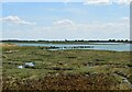 Old timbers on Benfleet Creek in Castle Point District (B)