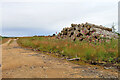 Log Pile in AB43 6NY