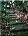 Steps up to the road in GU9 8HU
