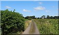 Access Track leading off Pinfold Lane in PR4 0FU