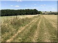 Path on Windmill Hill in SN4 9ET