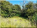 Dew pond by a field boundary in LE4 9AU