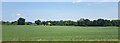 Fields east of the railway line, Grendon in CV9 2EX