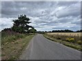 Minor road near Forres in IV36 3TN
