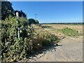 Footpath to Stapleton in TA12 6AN