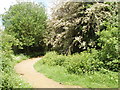 Path into Stockley Country Park in UB3 1EN