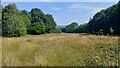 Grass and woodland beside Gipsy Lane in LS11 5SY