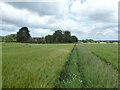 Path through arable fields in L40 5UJ