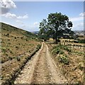 Track past Heath Mynd in SY15 6AX
