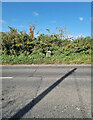 Old Milestone by the A363, Trowle, Trowbridge Parish in BA14 9BP