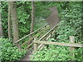 Footbridge in Ercall Nature Reserve in TF1 2DY