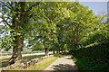 The high road from Fairburn House to Marybank in IV6 7QH
