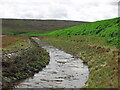 Catchwater feeding into Hisehope Reservoir in Muggleswick