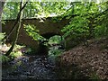 Bridge over Tor Burn in FK5 4ED