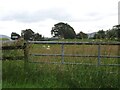 Pasture at Gateside in KY13 0QL