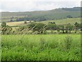 Farming landscape near Cleish in KY13 0LJ