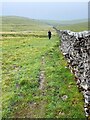 A Walk Along the Dry Stone Wall in CA17 4NX