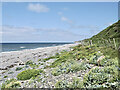 Stony beach between Townend and Walkhole Banks in LA18 4NY