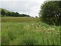 Marshy area by the A823 in FK14 7NP
