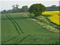 Farmland, Bothampstead in RG20 8SD