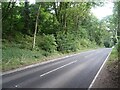 Ashford Road (A28) towards Canterbury in Downs North Ward