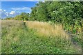 Footpath by the stream to Warborough in OX10 6FA