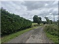 Farm road at Back of Turin Hill in DD8 3PD