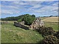 Derelict building at East Brae in DD8 2UY