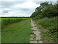Footpath to Winthorpe in NG24 2NH