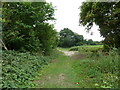Footpath to Coddington in NG24 2NH