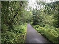 Blane Valley Railway trackbed in G66 8HY