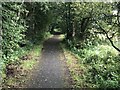 Blane Valley Railway trackbed in G66 7LP