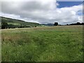Field above Strathblane in G63 9EH
