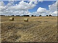 Hay bales on Woodside Common in NE40 4FH