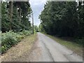 Access road - Parkhurst Forest in PO30 5SD