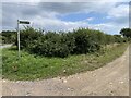 Public Bridleway NC41 in PO37 7PT