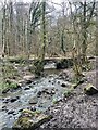 Footbridge over Wepre Brook in CH5 4GN