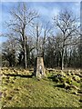 Trig Point on Bryn Meiriadog in Cefnmeiriadog Community