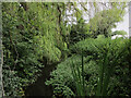 Looking along the River Mimram from the ford in Welwyn West Ward