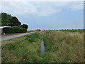 Drain alongside Cocklehole Road, Wingland in PE34 4HQ
