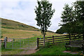 Gate and bench, Ettrickbridge in TD7 5JJ