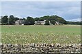 View towards Cresswell Home Farm in NE61 5TZ