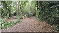 Footpath 'Crossroads' near Sunfield, Clent in DY9 9LG