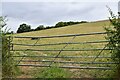 Shepton Montague: Gated field in BA9 8JD